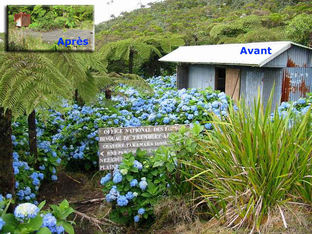 L'abri du Tremblet n'existe plus (Photo souvenir d'archive)