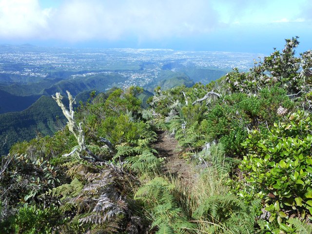 Agréable sentier dans la végétation lorsqu'il ne monte pas trop