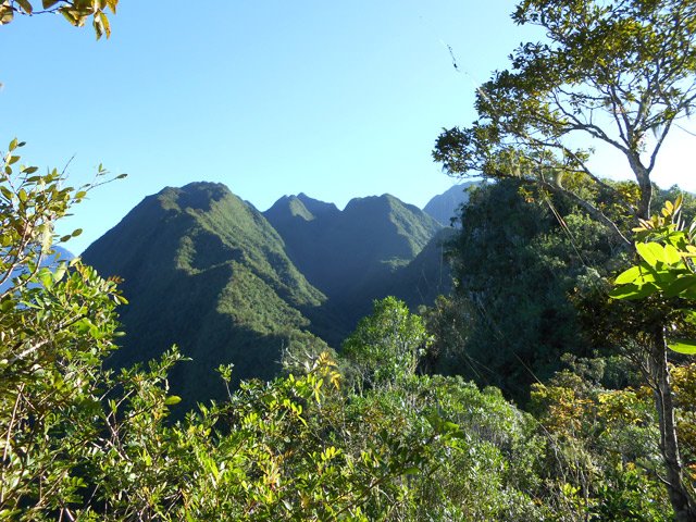 Beaux points de vue sur le Dimitile à travers la végétation