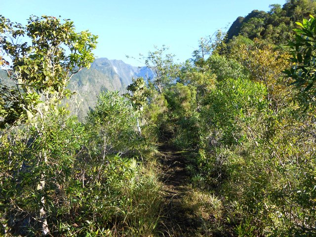 Le rempart est proche mais la végétation protège du vide