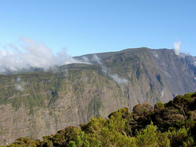 Sous les nuages, la forêt de cryptomérias entourant la Fenêtre des Makes