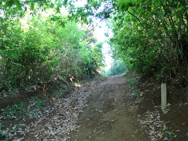 Le sentier du Coteau Sec est plus une piste en terre