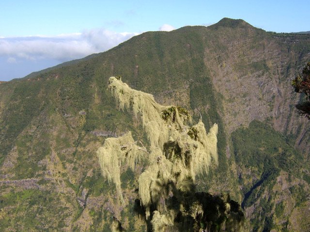 Le rempart en face vers le Piton Cabris et la Fenêtre