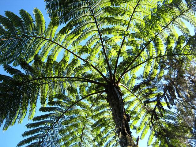 Jeux de lumière dans les fanjans