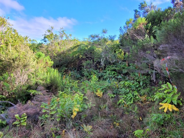 Le seul endroit de la région où l'on peut imaginer une trace de vie
