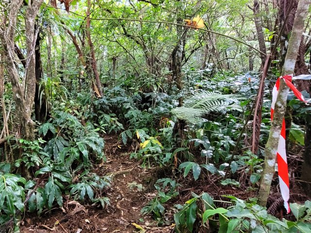 Le début de la montée sillonne le plateau
