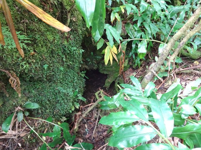 La petite entrée de grotte à droite du sentier en arrivant à la ravine souterraine