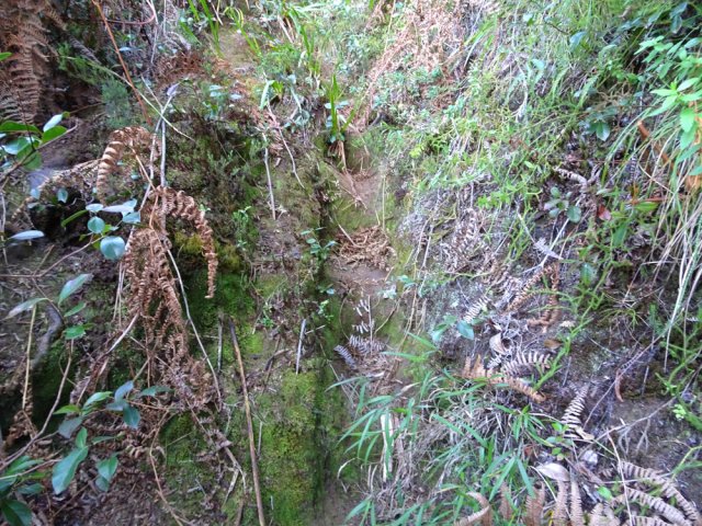 De très anciennes marches creusées à même le sol