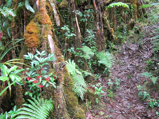La dernière partie est très boueuse