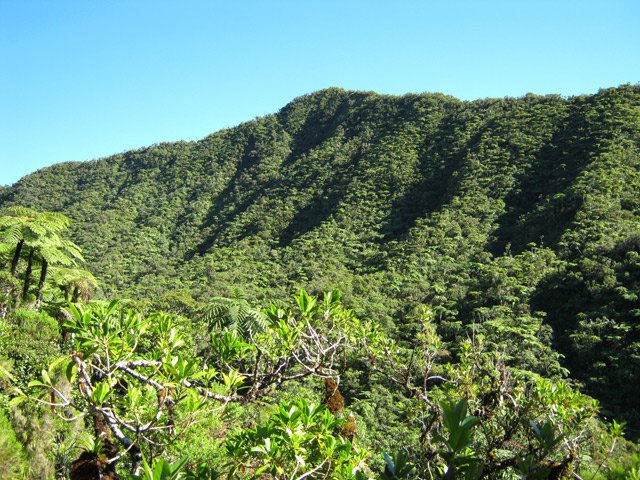 Passage au plus près du Pic des Lianes
