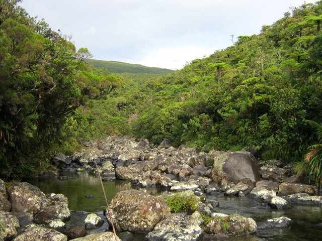 Franchissement délicat du Bras Piton
