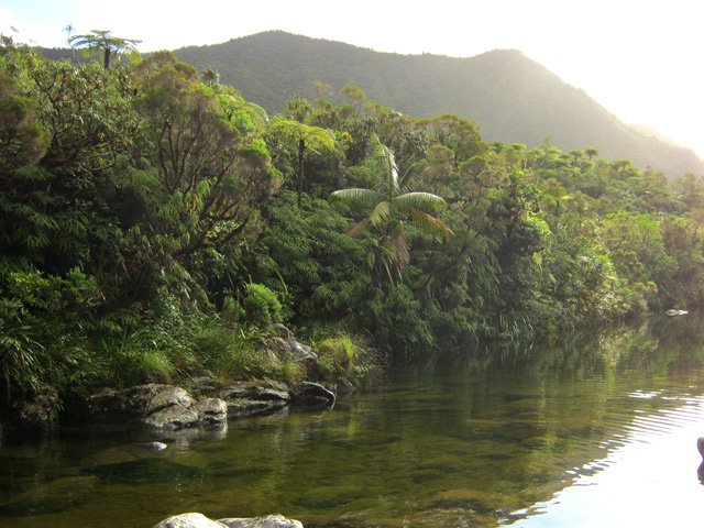 Le barrage sur le Bras Piton