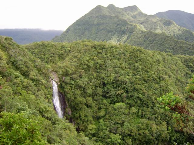 Le Morne du Bras des Lianes depuis le point de vue sur la cascade du Chien