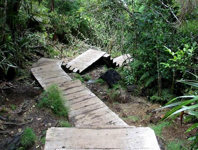 Les sentiers boueux de Bélouve sont souvent recouverts de planches