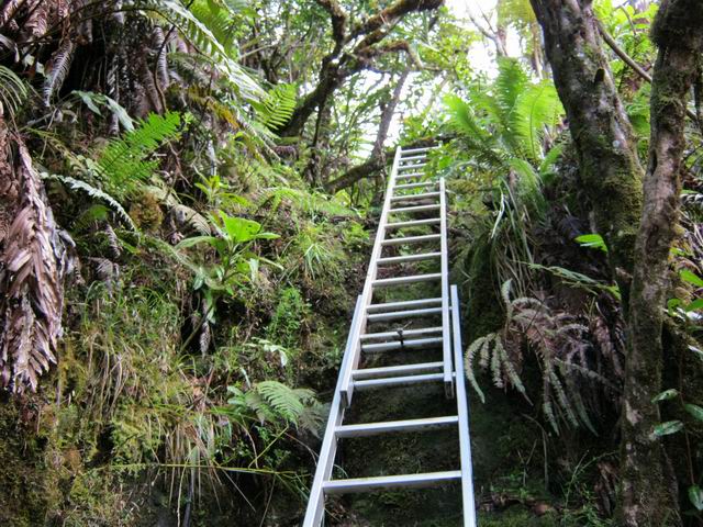 Plusieurs échelles facilitent la très sérieuse montée
