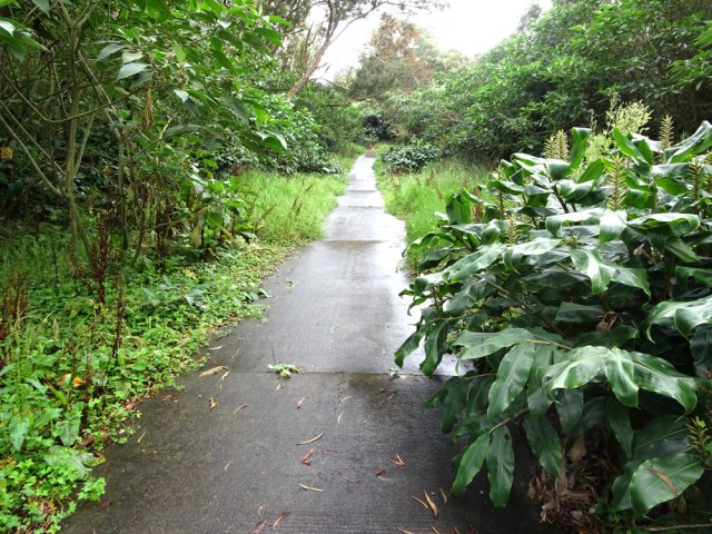 Le début de la piste montant vers le réservoir DFCI