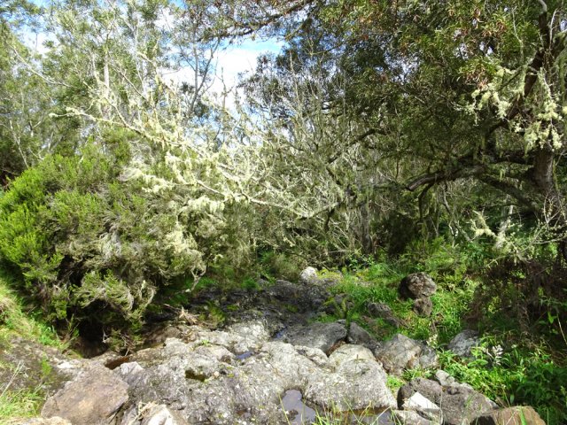 Franchissement d'une ravine au fond rocheux