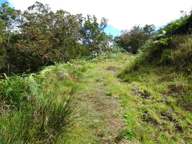 La piste est bien marquée et peu envahie par endroits
