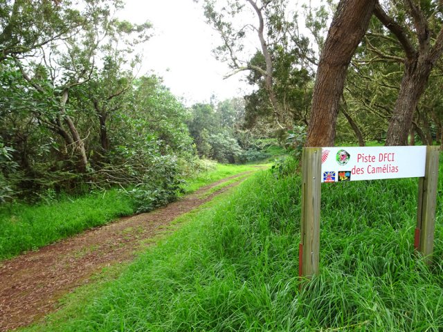 Début de la piste des Camélias