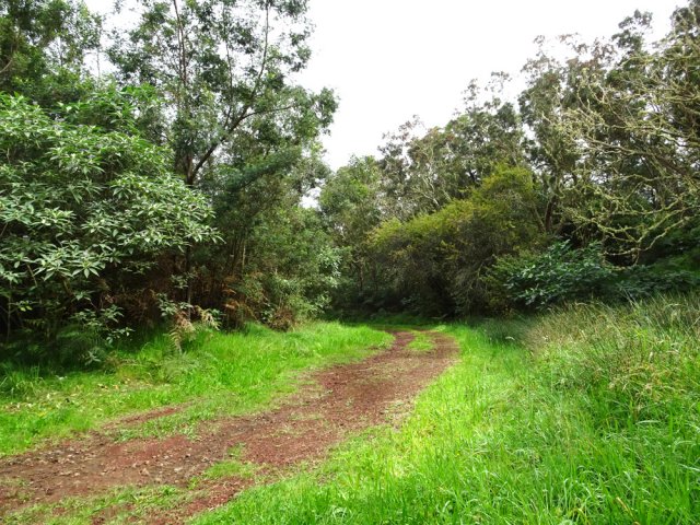 Cette piste débute par un tronçon très propre et plat