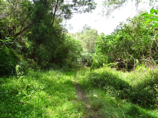 On longe les clôtures des pâturages sur la droite