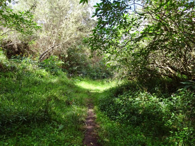 Les randonneurs et cyclistes ont créé un sentier facile à suivre