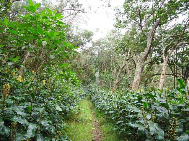 Le passage est de plus en plus étroit mais on passe facilement