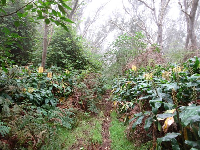 La brume s'installe très vite à 1700 m d'altitude