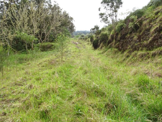 Elle est remplacée par une ancienne piste large et assez propre