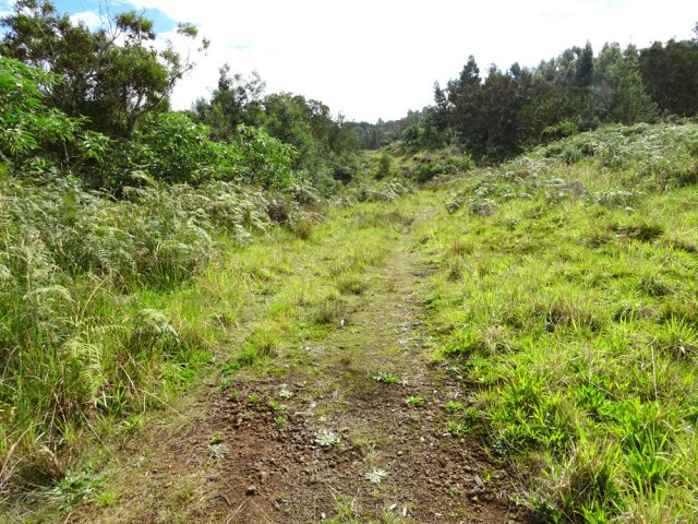 La piste longe au plus près les limites du parc national