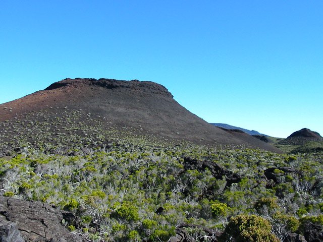 Le même et la végétation qui l'entoure