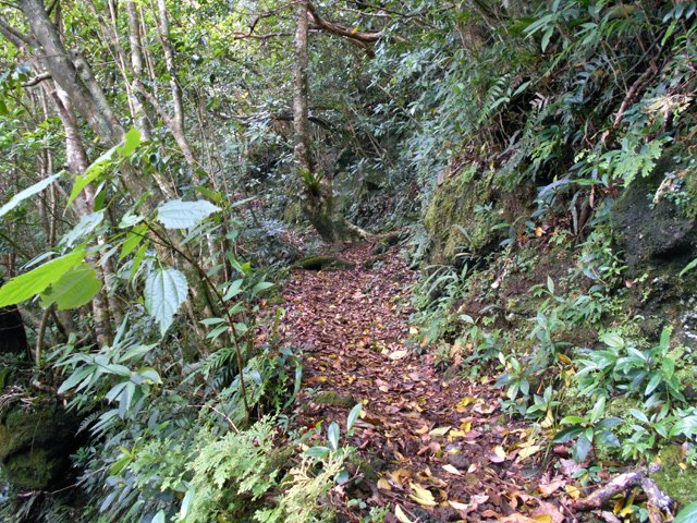 Dernière descente vers la Ravine de Basse vallée et le gîte