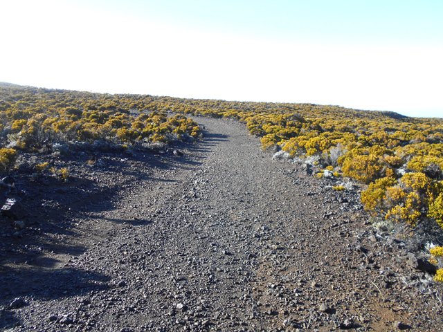 La nouvelle piste est de plus en plus utilisée au détriment du sentier