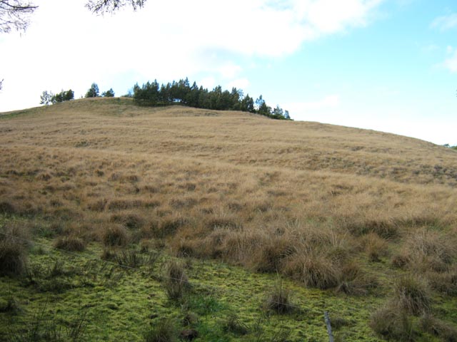 Les prairies près des trous de Cissia