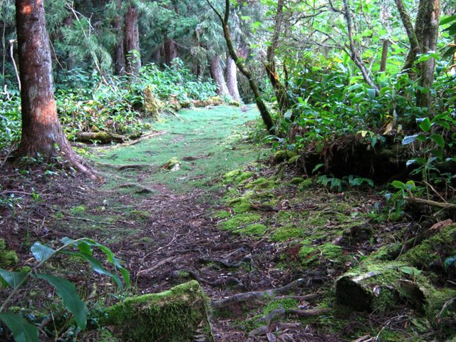 Large début du sentier de Grande Terre