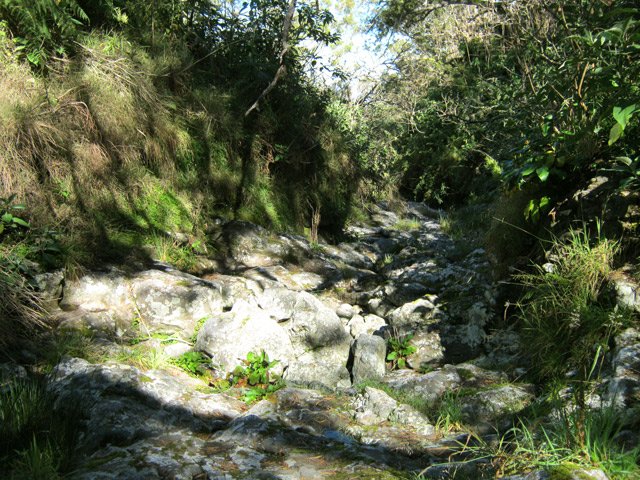 Traversée de la Ravine Nono
