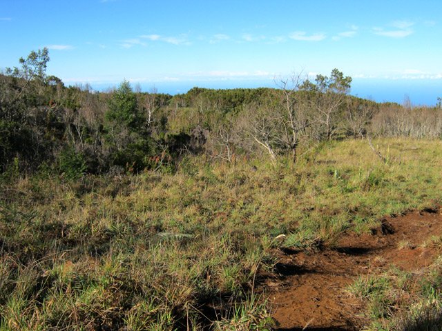 La caverne n'est pas facile à repérer dans cette zone plus ou moins recouverte de végétation