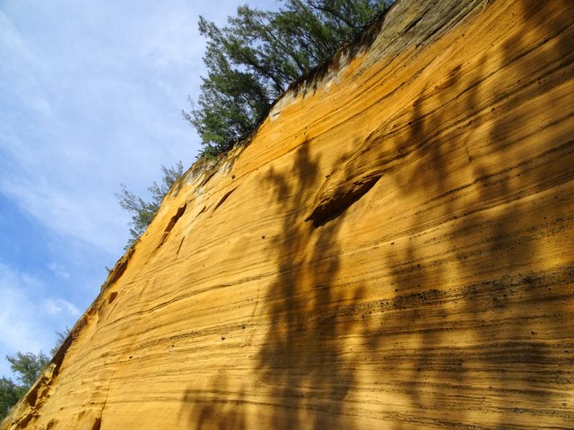 Un bois de filaos est planté au sommet