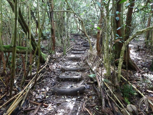 La fin de la boucle utilise beaucoup de marches bordées de calumets morts