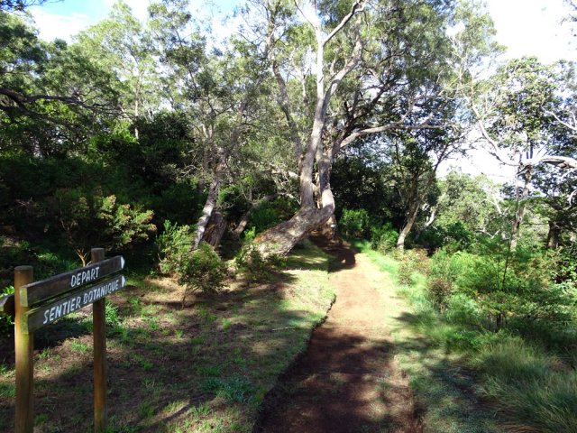 Début du sentier, impossible à manquer