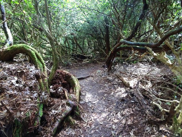 Le terrain redevient plat à l'approche de la route