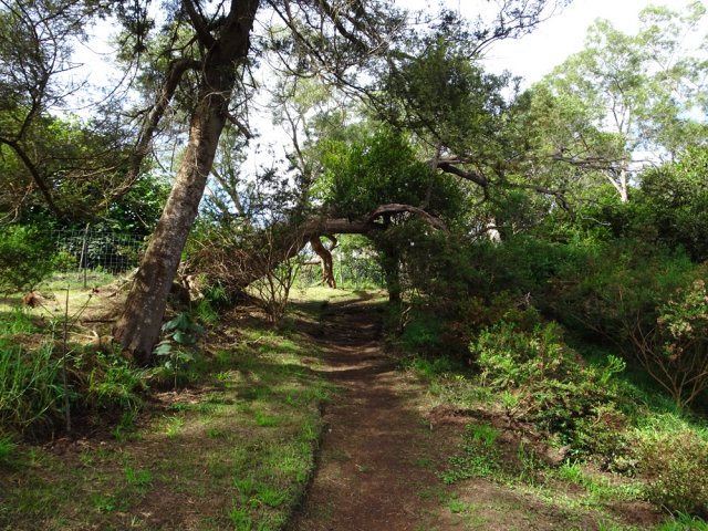 Les derniers mètres de la boucle le long de la clôture grillagée
