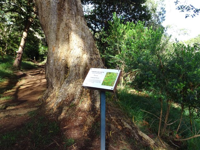 Les premières pancartes botaniques se rencontrent aussitôt