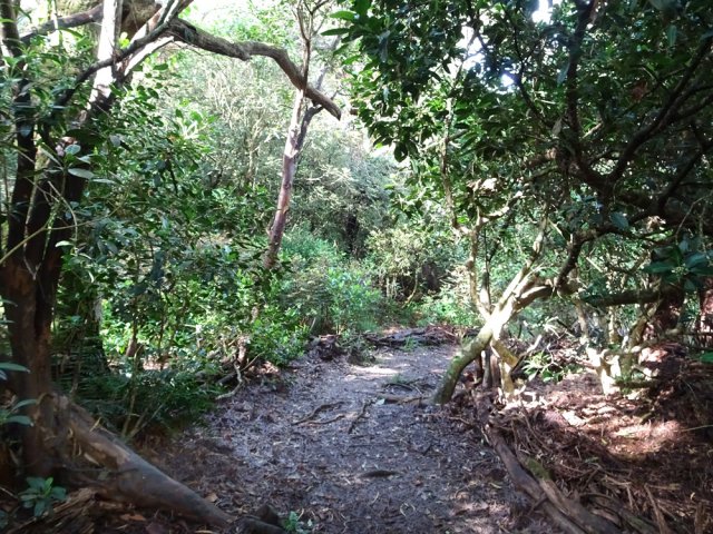 Quelques rares tronçons sont parfois un peu boueux