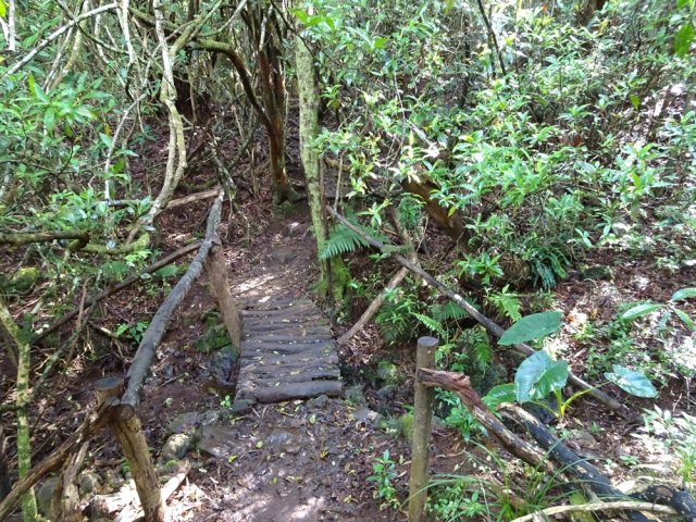 Petit pont de bois pour franchir une minuscule ravine absente de la carte IGN