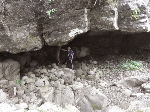 Une grotte originale avec son tronc d'arbre à 15 mètres du sentier