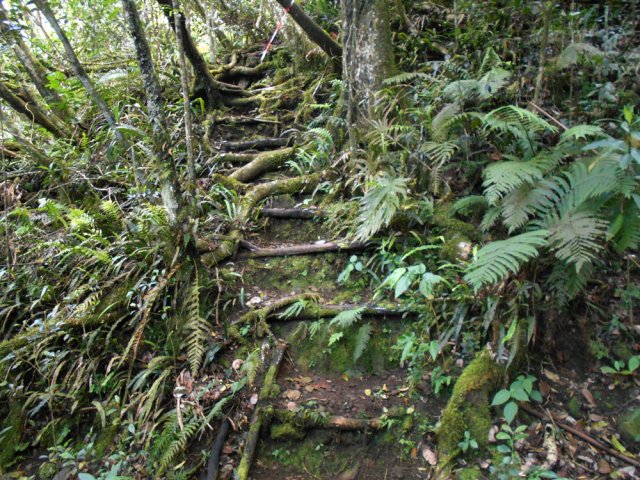 Un vestige assez bien conservé de l'ancien sentier