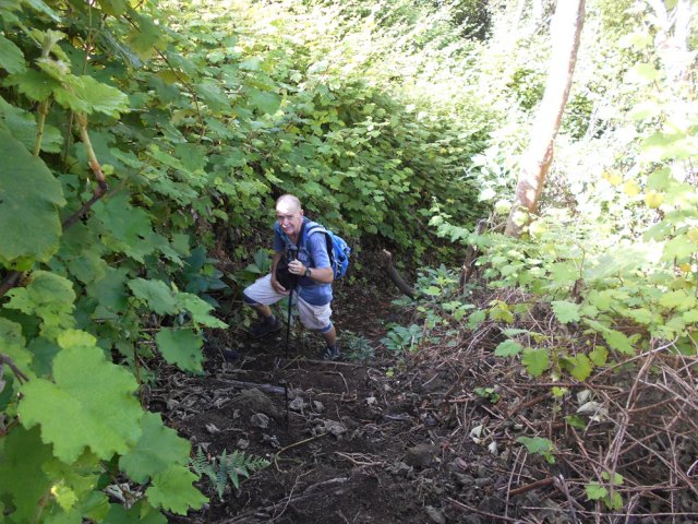 C'est ici que l'usage du coupe-coupe est nécessaire