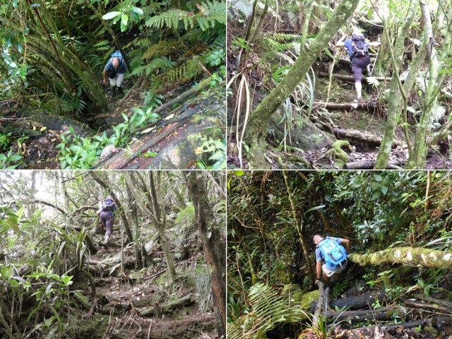 On monte un peu plus qu'on ne descend, mais toujours difficilement