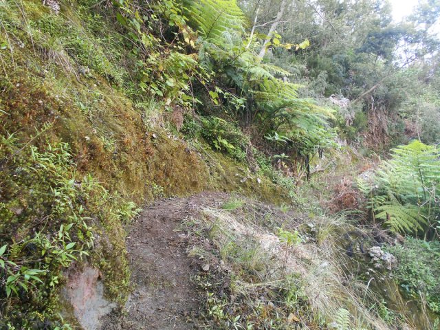 L'ancien éboulis, très bien remis en état